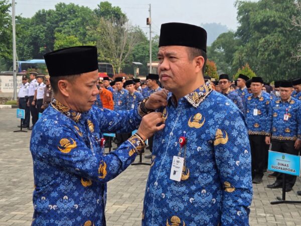 Sekda Alpian Sematkan Pin ASN BerAKHLAK kepada Sejumlah Pejabat