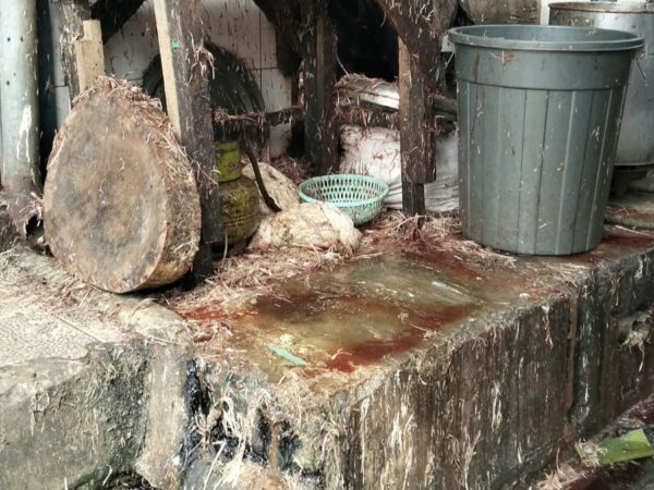 Bulu dan Darah Ayam Berserakan, Dinkes Sungai Penuh Diminta Sidak Pasar