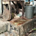 Dinilai Cemari Lingkungan, Warga Minta Disperindag Pindahkan Pedagang Ayam di Depan Pasar Tanjung Bajure ke Belakang